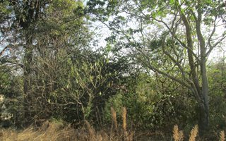 750 m² Land available in Ashlea Gardens