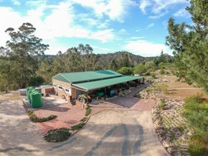 10 ha Farm in Sedgefield