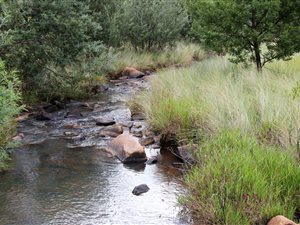 288 ha Farm in Middelburg Central