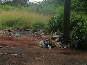 1281 m² Land available in Wolmer