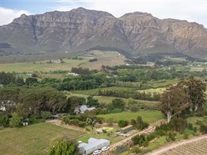 3.2 ha Farm in Stellenbosch Central