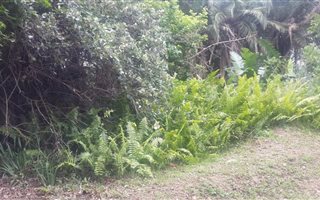 1038 m² Land available in Leisure Bay