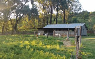 14.4 ha Farm in Magaliesburg