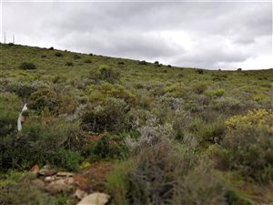 1920 m² Land available in Bonnievale