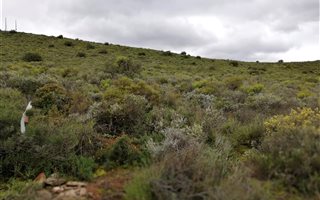 1920 m² Land available in Bonnievale
