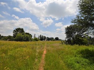 2.2 ha Land available in Spitskop