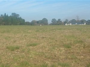1010 m² Land available in Howick
