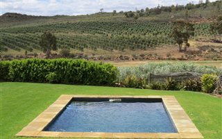 28 ha Farm in Montagu