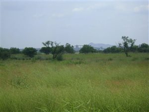 45.9 ha Farm in Kroondal