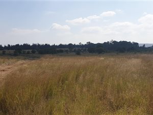 14 ha Land available in Mooiplaats AH