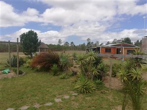 1 Bed House in Albertinia