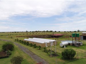 428 ha Farm in Koppies