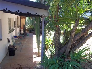 6 Bed House in Sabie