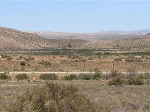 1285 m² Land available in Willowmore
