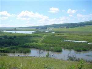 396 ha Farm in Kamberg
