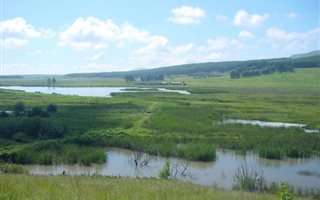 396 ha Farm in Kamberg