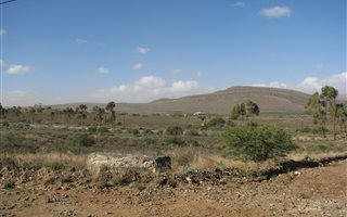 1285 m² Land available in Willowmore