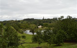 8.1 ha Farm in Glenmore