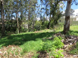 1289 m² Land available in Heatherlands