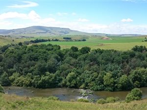20 ha Farm in Mooi River