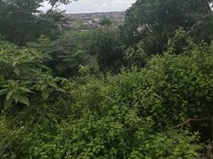 9571 m² Land available in Verulam