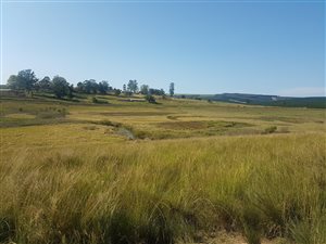 9 ha Farm in Greytown