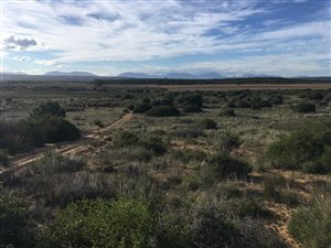 267 ha Farm in Stilbaai
