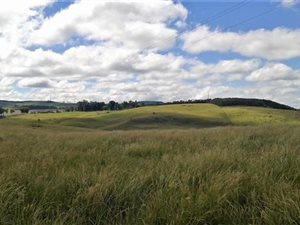 Farm in Lions River