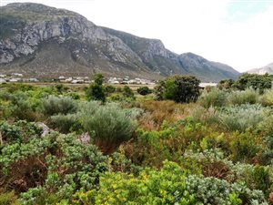 588 m² Land available in Bettys Bay