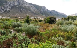 588 m² Land available in Bettys Bay