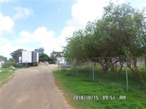 12621 ha Farm in Morningstar