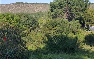 670 m² Land available in Groenvallei