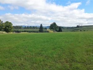 156.4 ha Farm in Lions River
