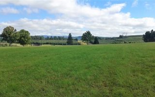 156.4 ha Farm in Lions River