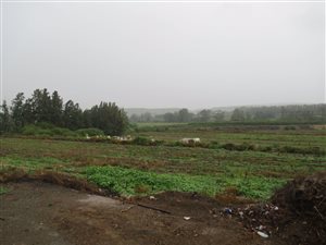 11 ha Farm in Addo