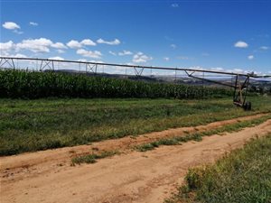 256 ha Farm in Ficksburg