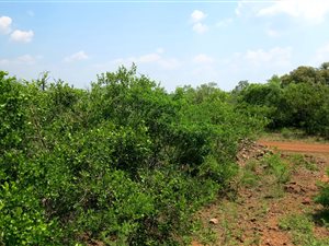 2500 m² Land available in Verloren Estate