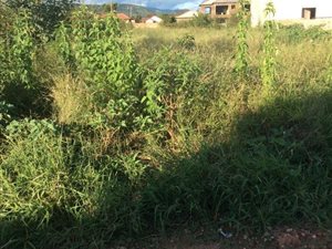 311 m² Land available in Mahlasedi Park