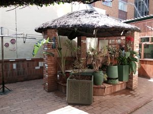 41 Bed House in Sunnyside