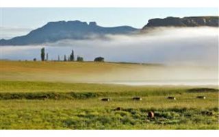 2900 m² Land available in Rosendal