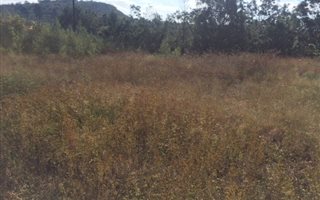 1115 m² Land available in Golf View AH