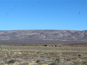 424 ha Farm in Ceres