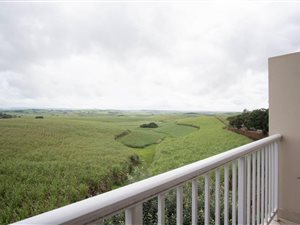 1 Bed Apartment in Manor Estates
