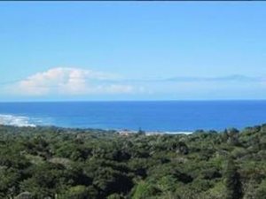 3 Bed House in Palm Beach