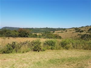 1.4 ha Land available in Wild Fig Estate