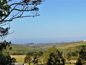 8 ha Farm in Plettenberg Bay