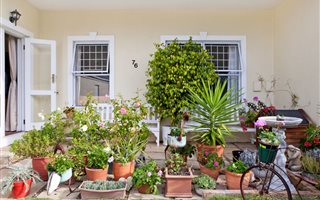 2 Bedroom Apartment in Fish Hoek