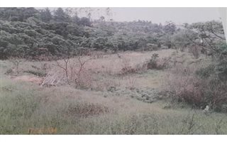 18846 ha Land available in Crestview