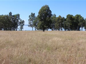 3.9 ha Land available in Vaalpark