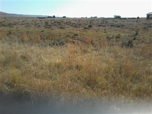 1973 m² Land available in Jameson Park